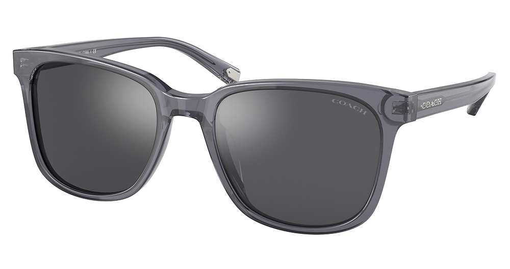 TRANSPARENT GREY / SILVER FLASH