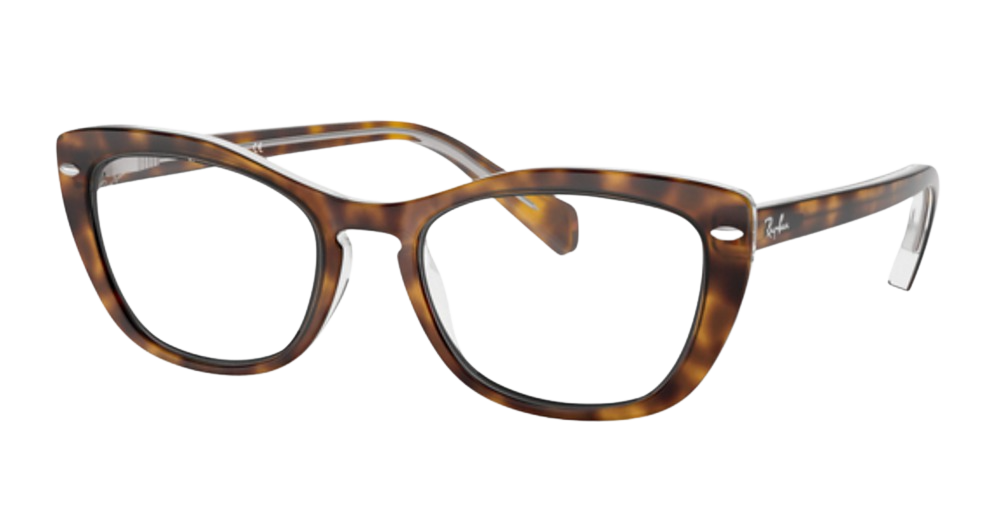 HAVANA ON TRANSPARENT