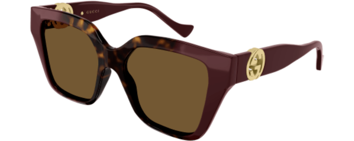 HAVANA-BURGUNDY-BROWN / BROWN