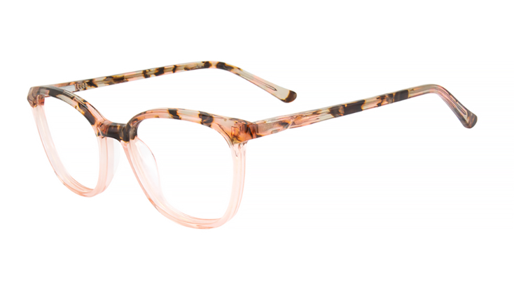 Pink Tortoise