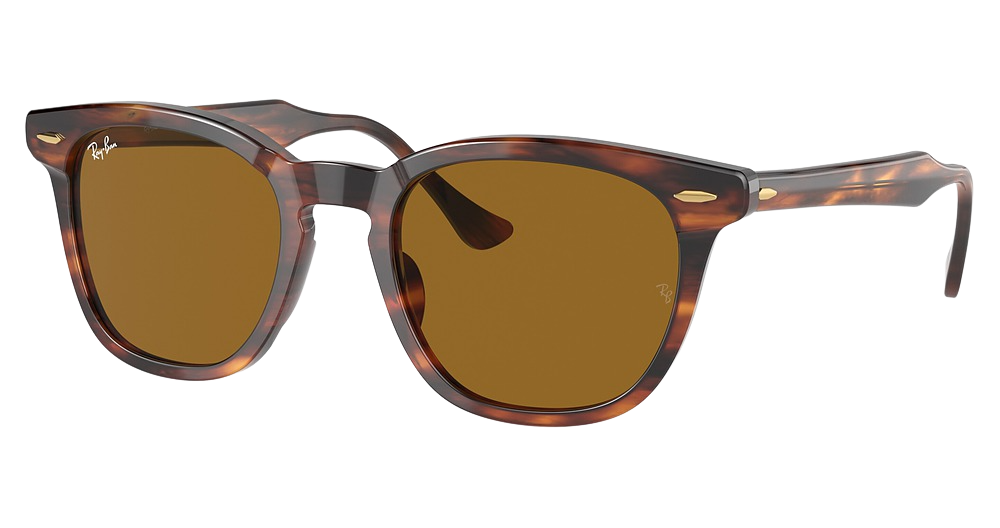 Ray-Ban RB2298F HAWKEYE round sunglasses in Striped Havana/Brown