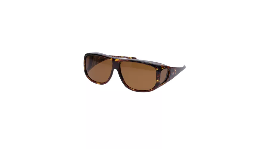 Shiny Tortoise / Amber lens