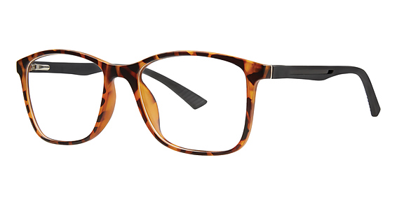 TORTOISE/BLACK