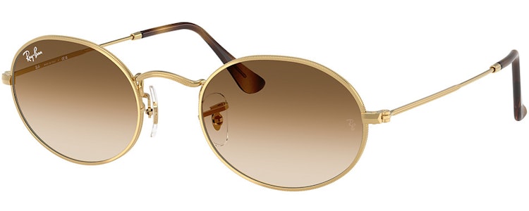 ARISTA / CLEAR GRADIENT BROWN