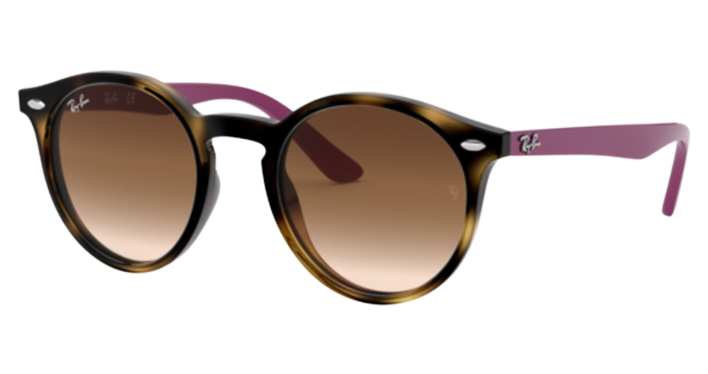 HAVANA / BROWN GRADIENT DARK BROWN