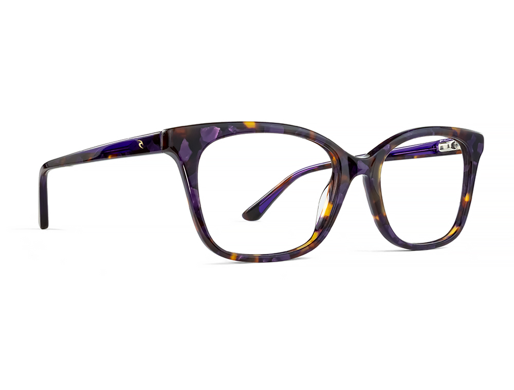 Purple Tortoise