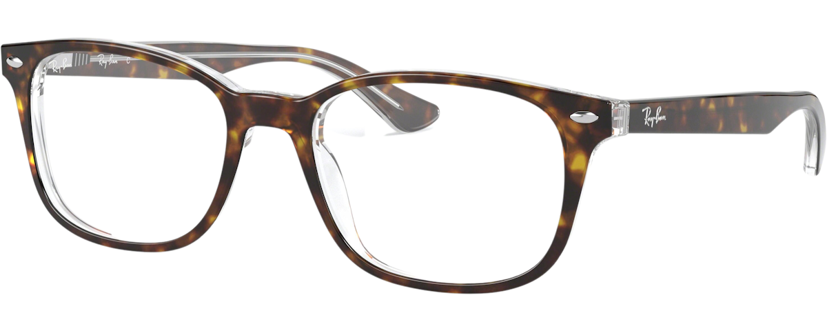 TOP HAVANA ON TRANSPARENT