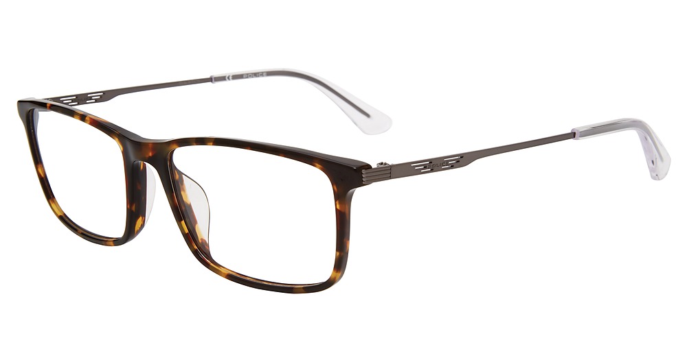 Tortoise 0752