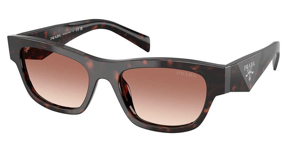 ROOT TORTOISE / LIGHT BROWN GRADIENT BORDEAUX
