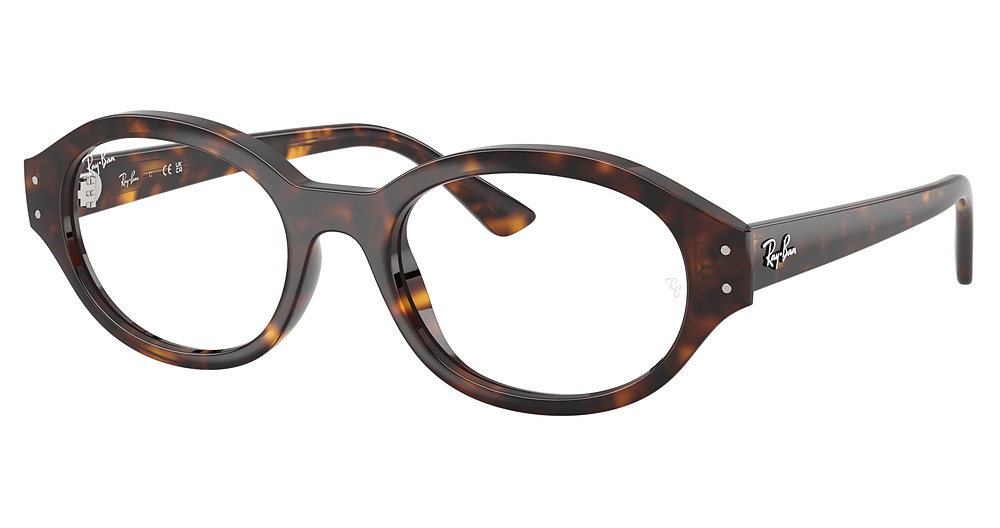 Ray-Ban RX7257 SHILO eyeglasses in Havana