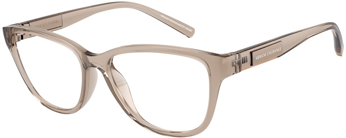 SHINY TRANSPARENT BROWN