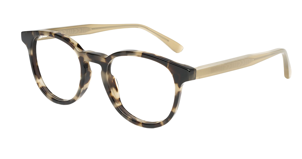 Olive Tokyo Tortoise
