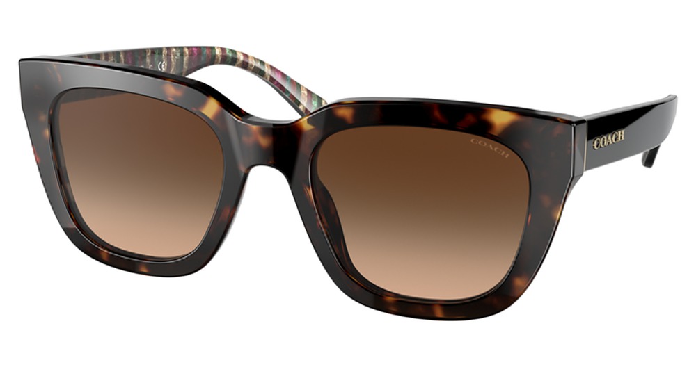 DARK TORTOISE / BROWN GRADIENT