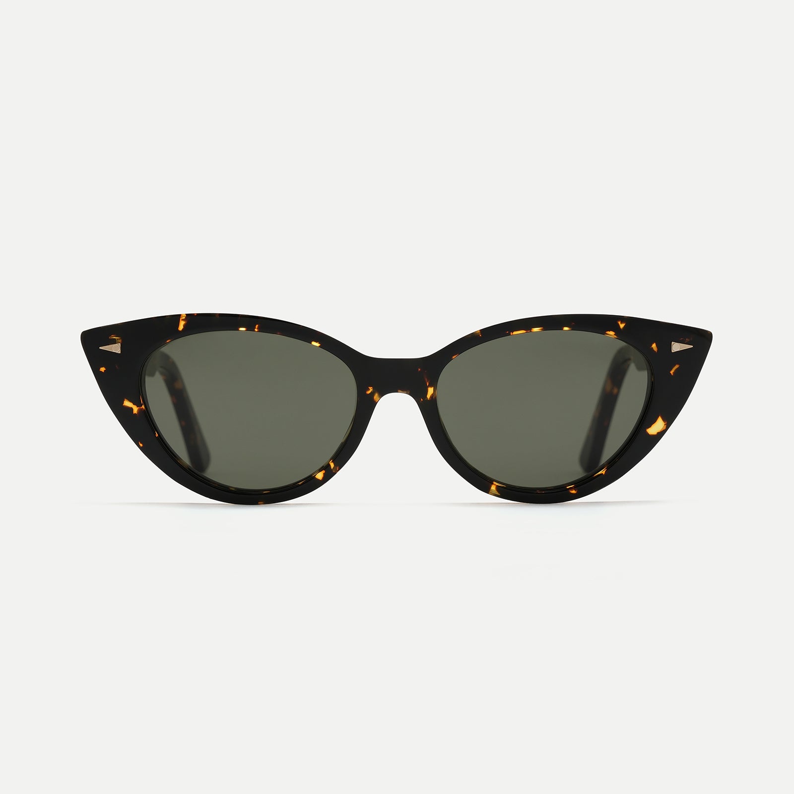 Yellow Turtle / G15