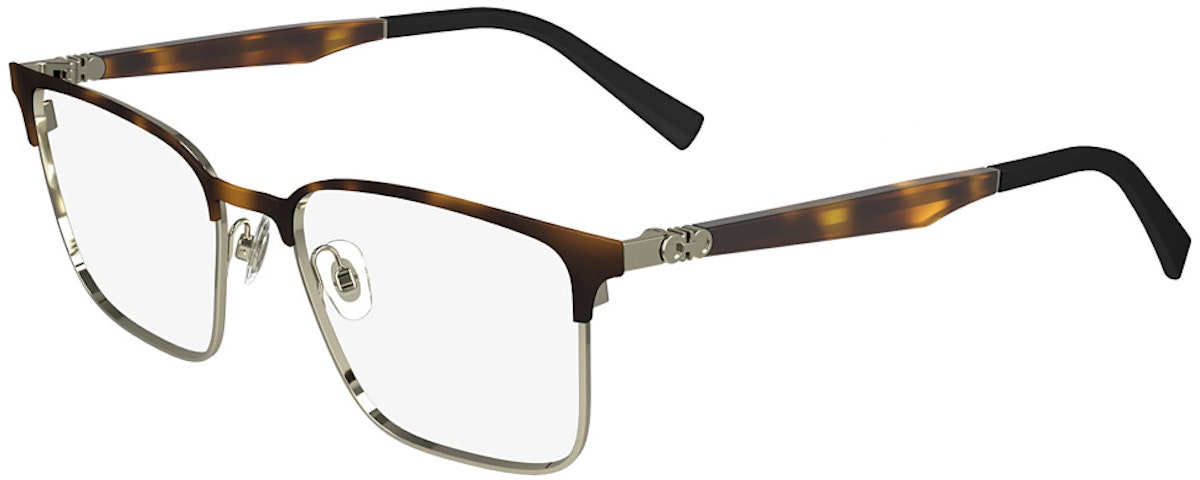 TORTOISE/GOLD