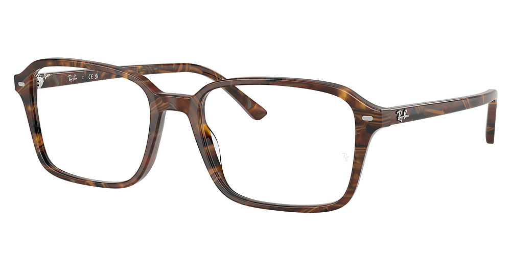 Ray-Ban RX5431 RAIMOND rectangle eyeglasses in Transparent Fantasy Brow