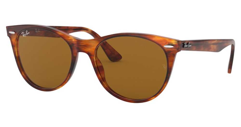 Ray-Ban RB2185 WAYFARER II round sunglasses in Striped Havana/B 15 Brown