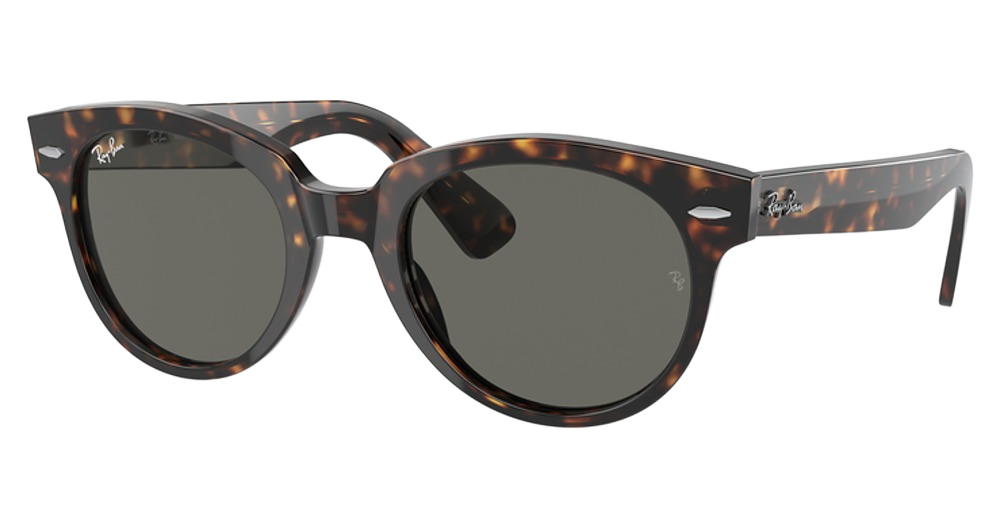 Ray-Ban RB2199 ORION round sunglasses in Tortoise/Dark Grey