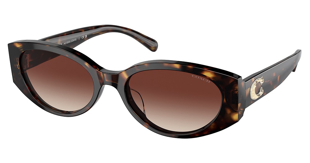 DARK TORTOISE / DARK BROWN GRADIENT