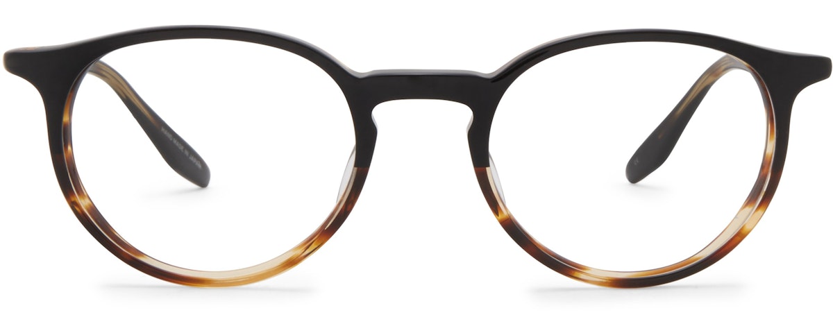 Raven Tortoise Gradient