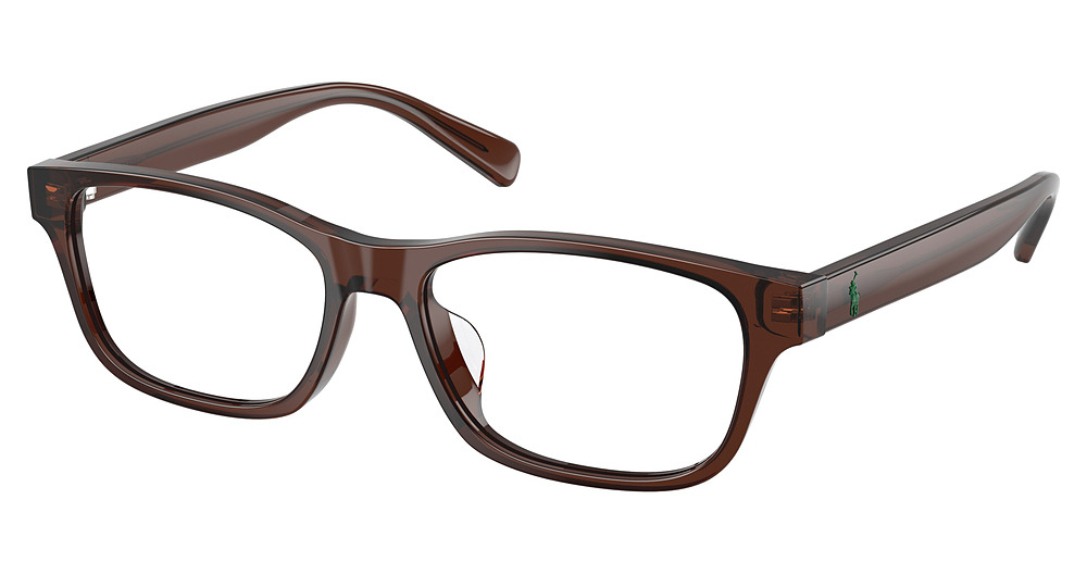 SHINY TRANSPARENT BROWN