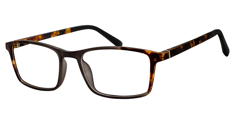 Grey With Tortoise Fade