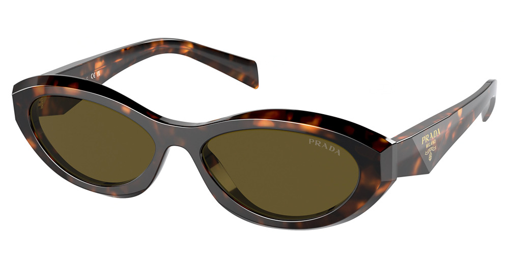 HONEY TORTOISE / DARK BROWN