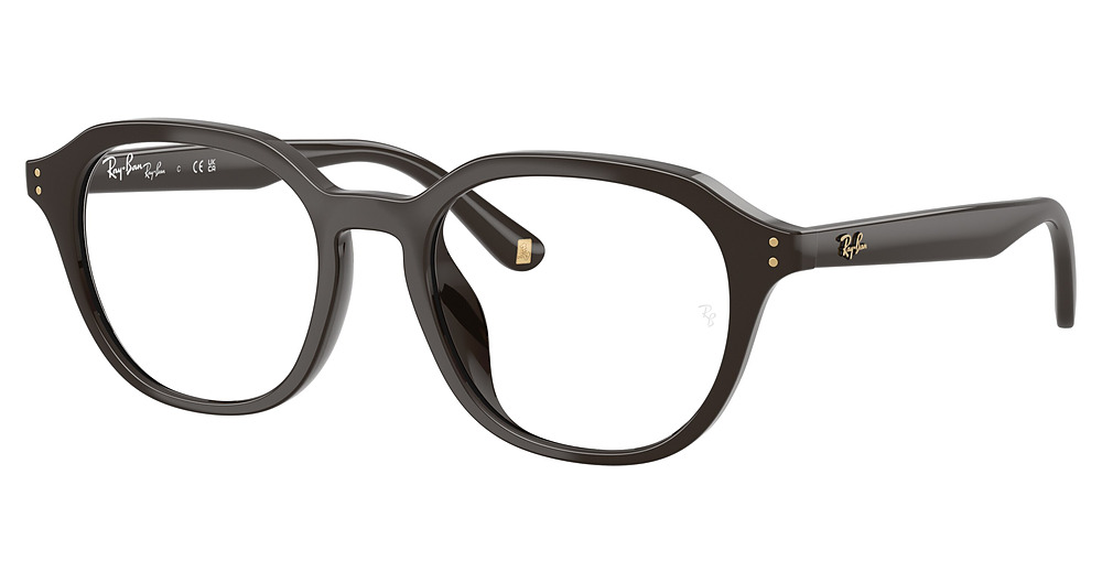 Ray-Ban RX7259D round eyeglasses in Full Dark Brown