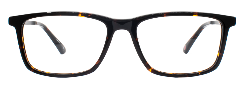 Dark Tortoise