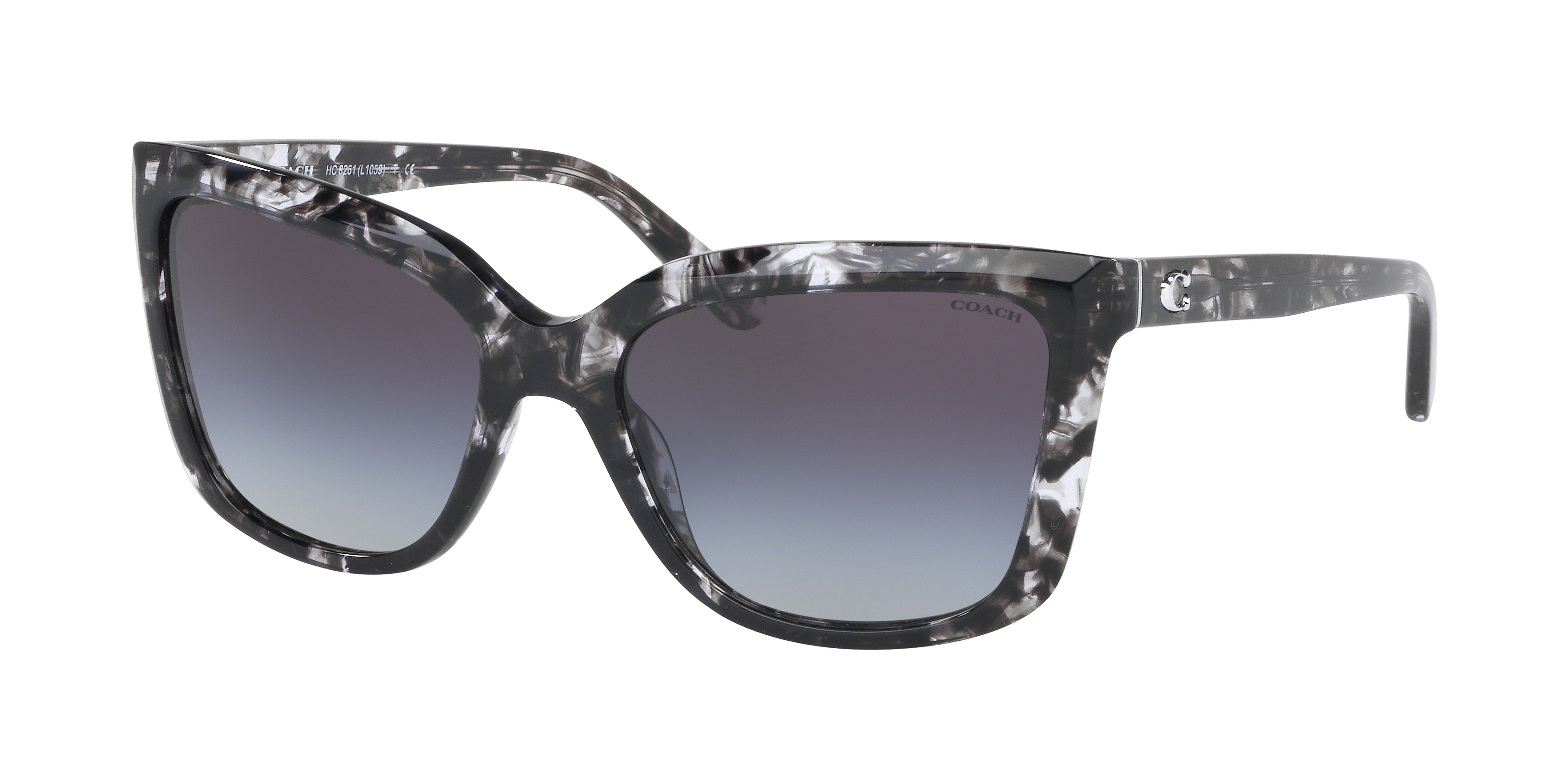 BLACK TORTOISE