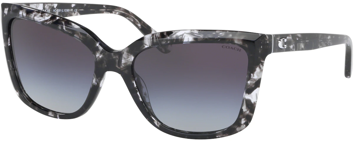 BLACK TORTOISE