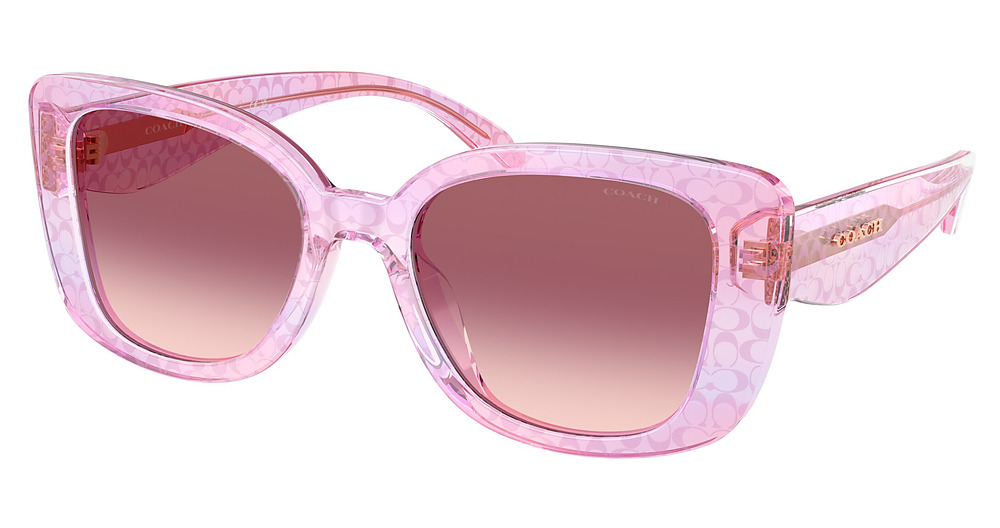 TRANSPARENT IRIS SIGNATU / PURPLE PINK GRADIENT