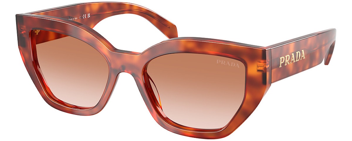COGNAC TORTOISE / BROWN GRADIENT
