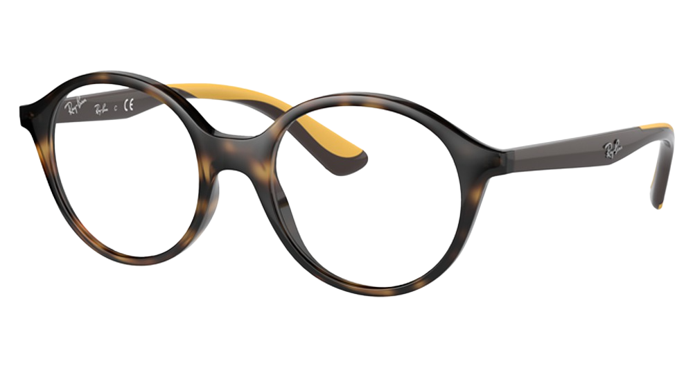 Ray-Ban RY1606 round eyeglasses in Havana