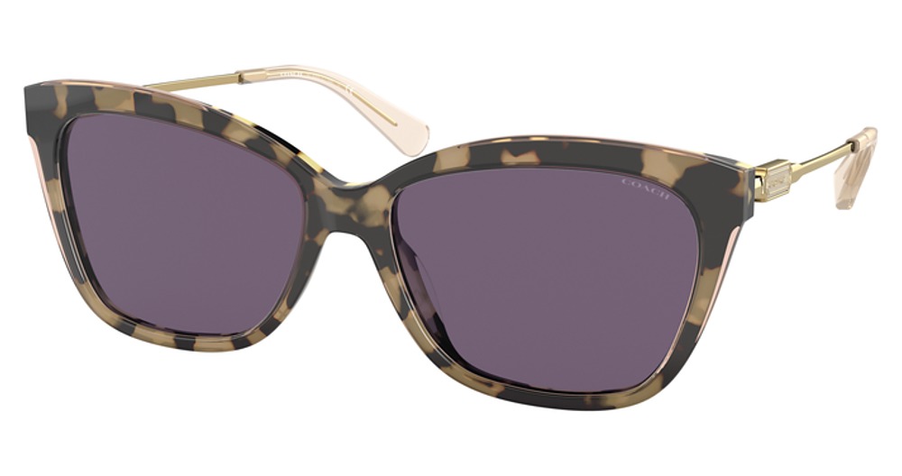 NUDE TORTOISE / PURPLE