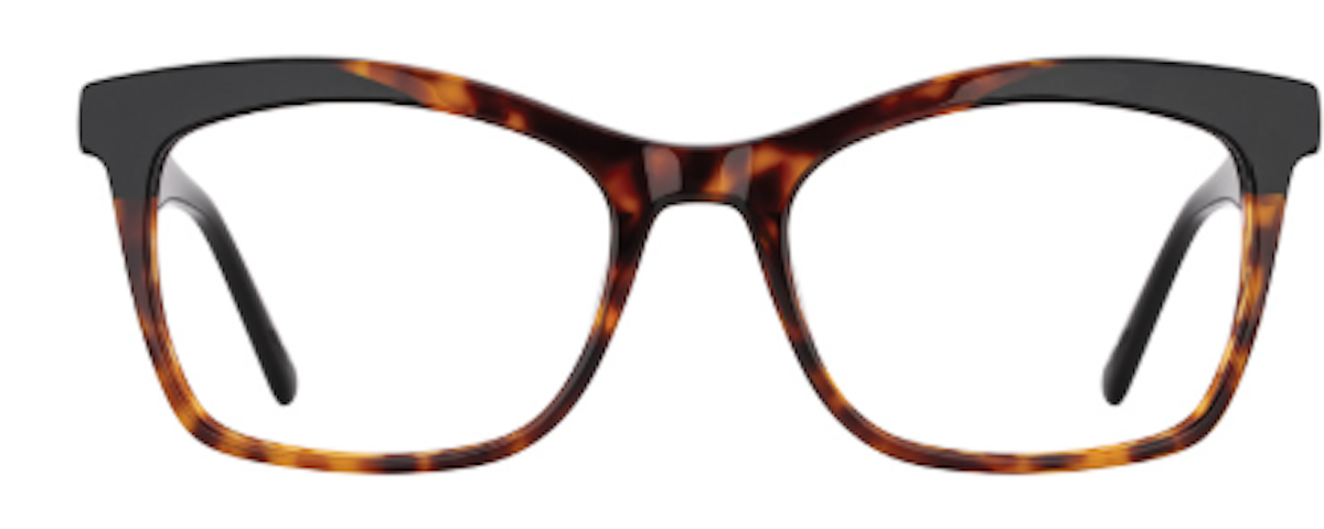 Tortoise / Black