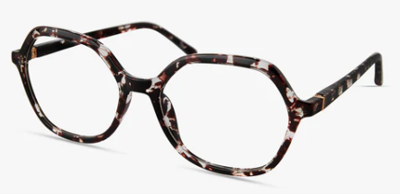 DARK PURPLE TORTOISE