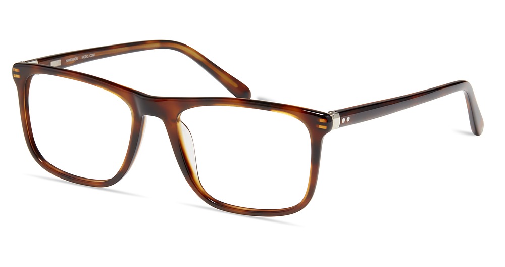 Modo 6536 round eyeglasses in Tortoise