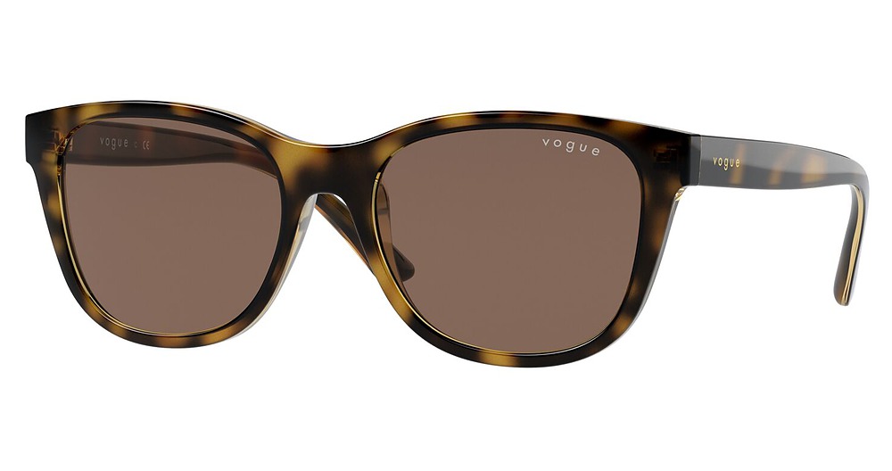 DARK HAVANA / DARK BROWN