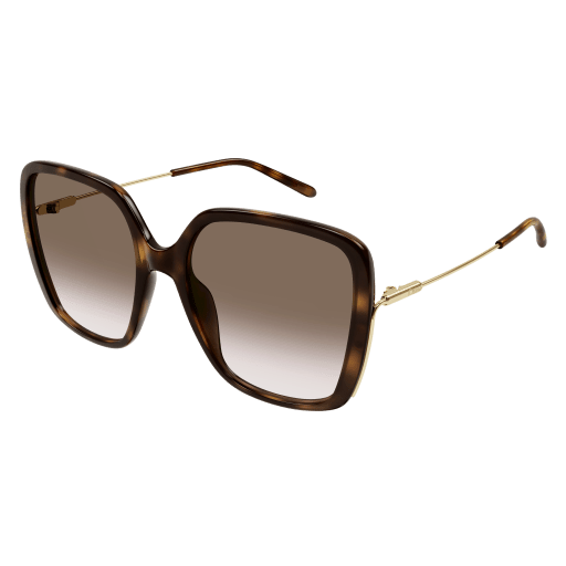 HAVANA / BROWN
