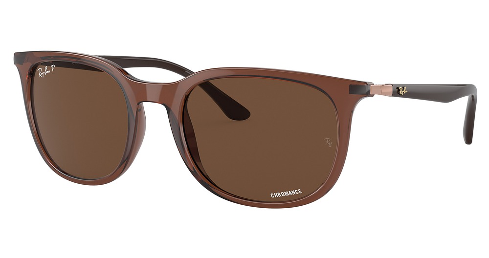 Ray-Ban RB4386F round sunglasses in Transparent Brown/Polarized Brown