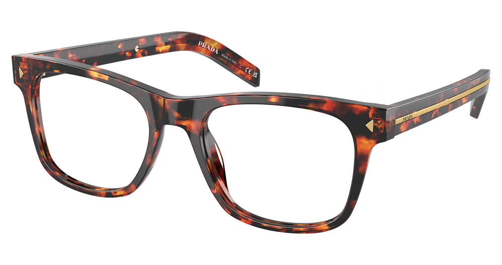 MAGMA TORTOISE