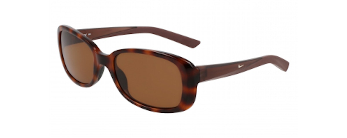 TORTOISE/BROWN