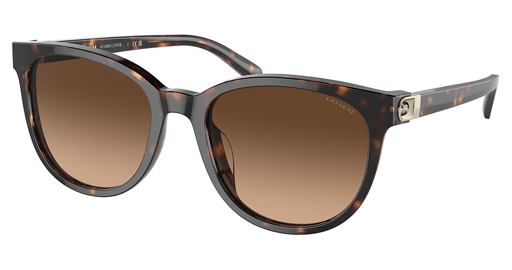 DARK TORTOISE / BROWN GRADIENT