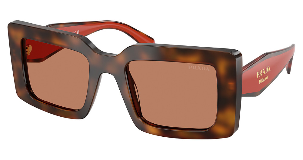 JUNIPER TORTOISE/COTTO / BROWN