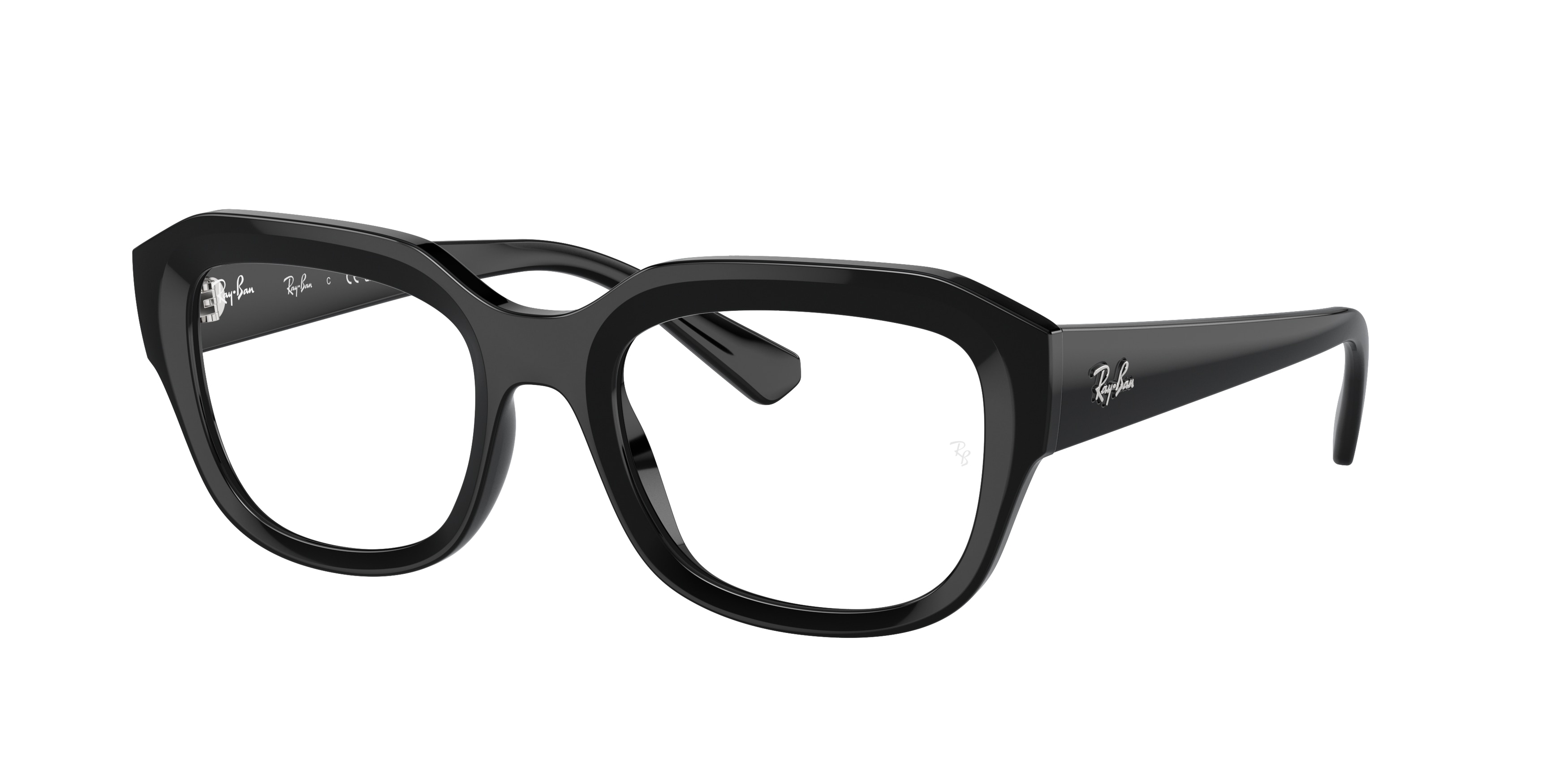 Ray-Ban RX7225 LEONID round eyeglasses in Black