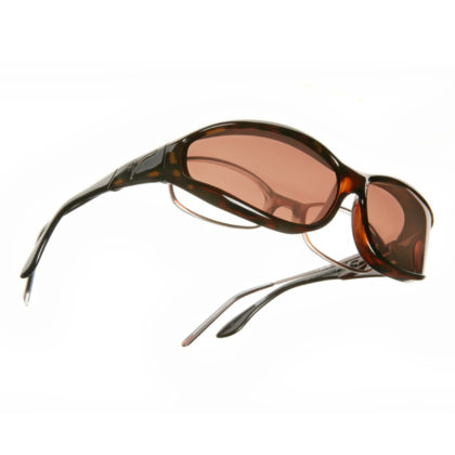 Tortoise / Copper