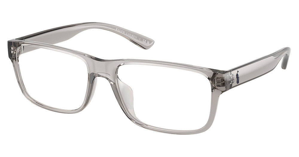 SHINY TRANSPARENT GREY