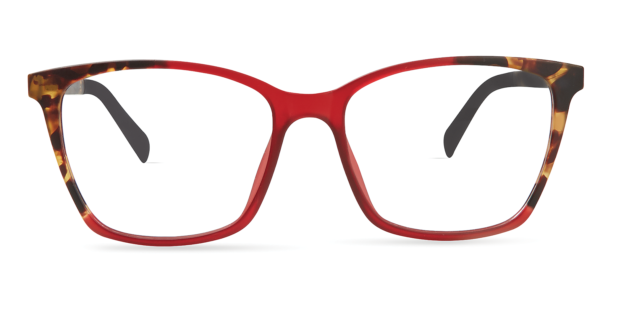 BURGUNDY / TORTOISE FADE