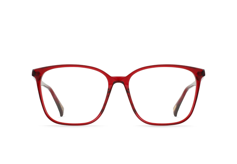 Oxblood / Clear